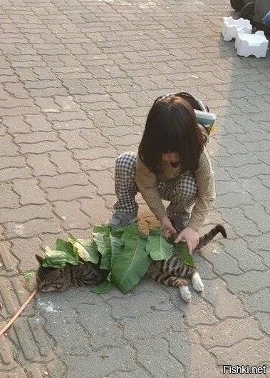 Ваша доча из Китая-так "мило"