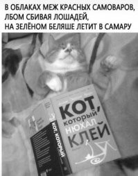 моя любимая