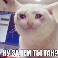 Прикольные и смешные картинки