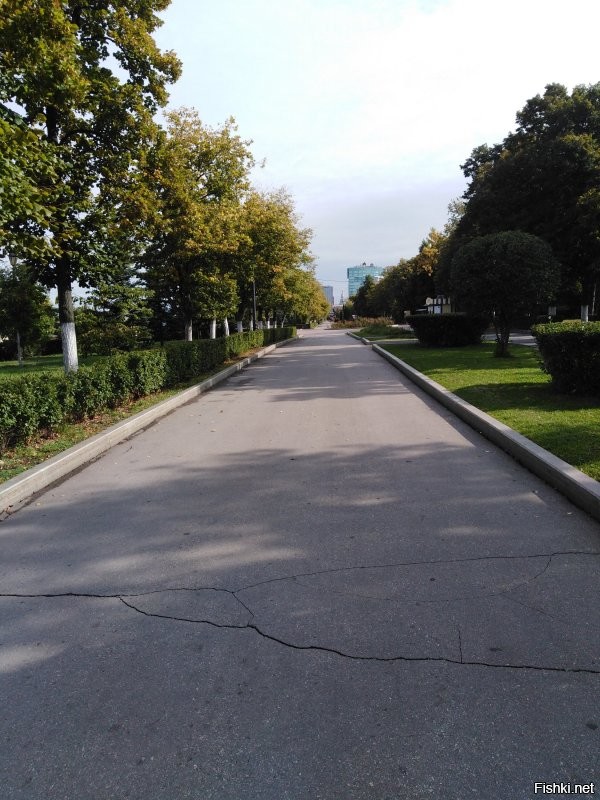 А у нас в Самаре ещё купаются.