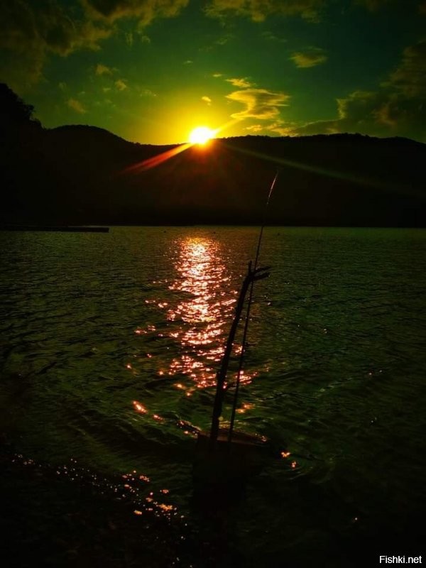 Солянка от 12.09.2020