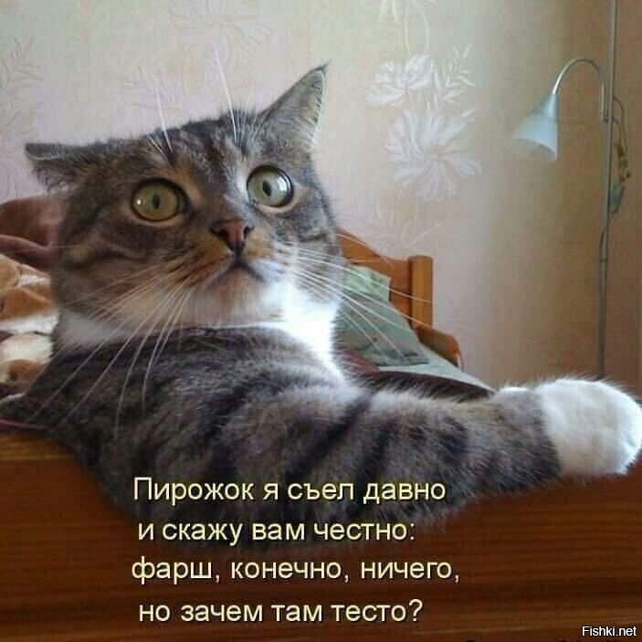 Солянка от 12.09.2020