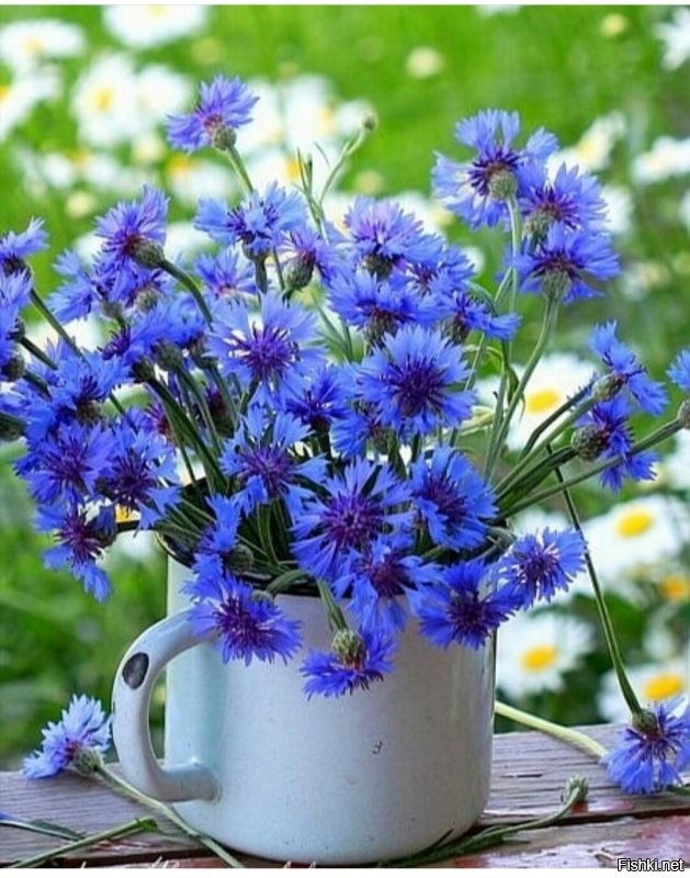 Солянка от 12.09.2020