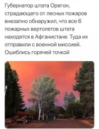 Ярость лесных пожаров на американском Западе