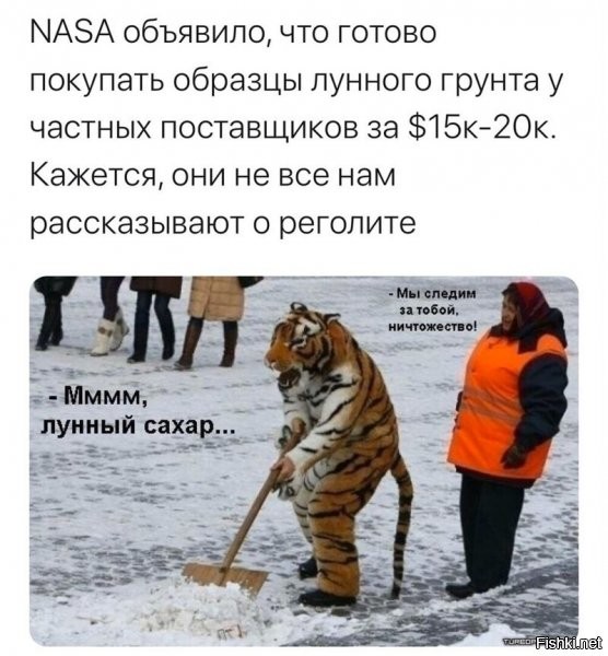 Политические комментарии из инета