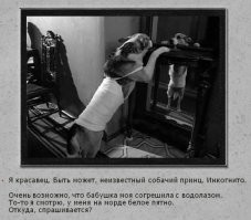 Прикольные и смешные картинки