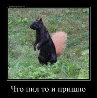 Алкопост на вечер этой пятницы