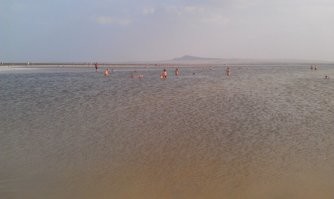 Баскунчак. 
Тоже очень соленое. :)