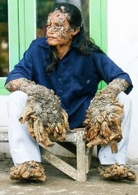 Разве это аномалии, вот аномалии!