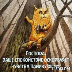 Солянка от 12.09.2020