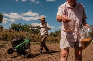 Дела идут неплохо, раз купили довольно дорогой мотокультиватор Caiman Vario.