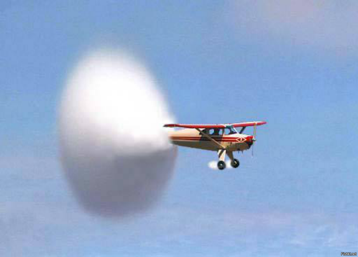 Солянка от 13.09.2020