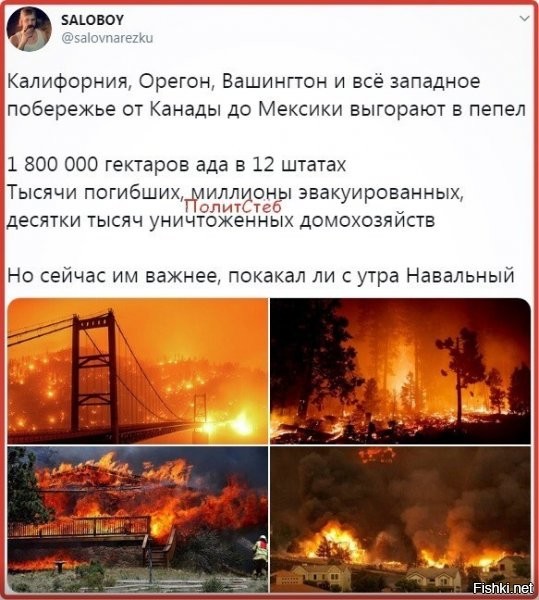 1я фотка, с лютым пожаром в виде фона для моста "Золотые ворота", на самом деле реально красиво вышло. природа тот еще художник..