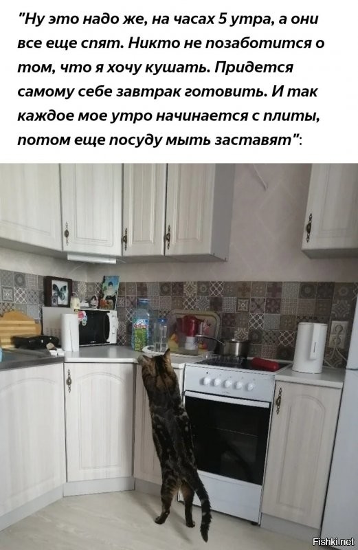 Солянка от 13.09.2020