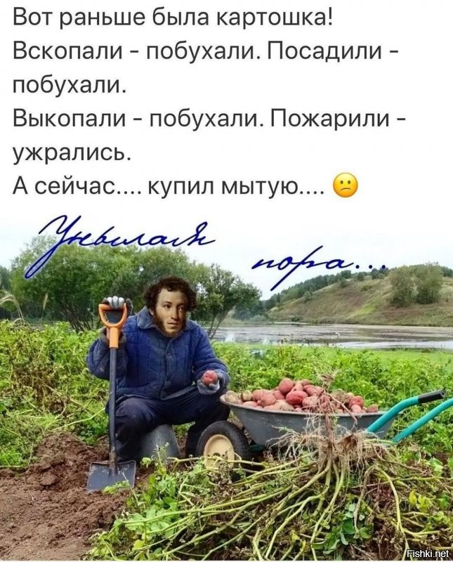 Солянка от 13.09.2020