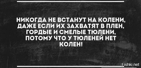 Я только про тюленей знаю...