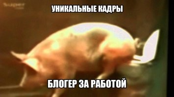 Опять семейные посиделки снятые на тапок, охереть как интересно. И охереть как "умно" писать коменты другими аккаунтами.

В очередной раз: никому не интересно подобное. Снято отвратительно, снято неинтересно.
Да еще и автор матерится при указании на его ошибки.
Позорище.