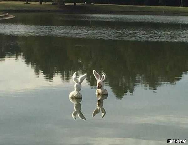 Солянка от 13.09.2020