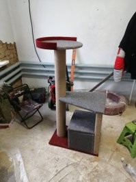 Двери от старого шкафа. Картонная втулка от линолеума. Коврики из фикспрайса, верёвка, пва, саморезы, уголки мебельные, степлер,2 литра пива, свободный выходной. Вроде все.