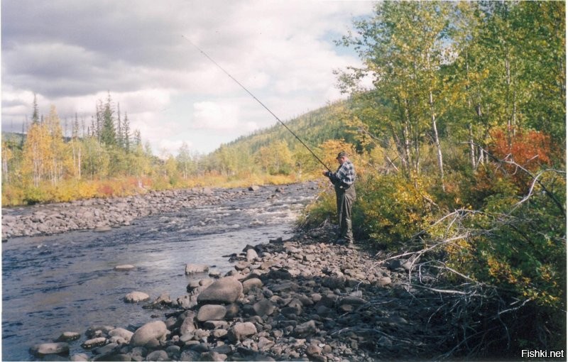 эзх... север... только два раза удалось в Эвенкию съездить... красотищща... идешь по речке - голубика и черника кругом.. лопаешь, практически на ходу... водичкой из речки запиваешь...эхххх...