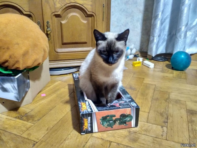 Солянка от 14.09.2020