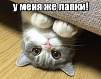 Не ищите здесь смысл. Здесь в основном маразм