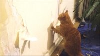 Смешные картинки