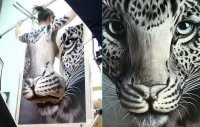 Прикольные и смешные картинки