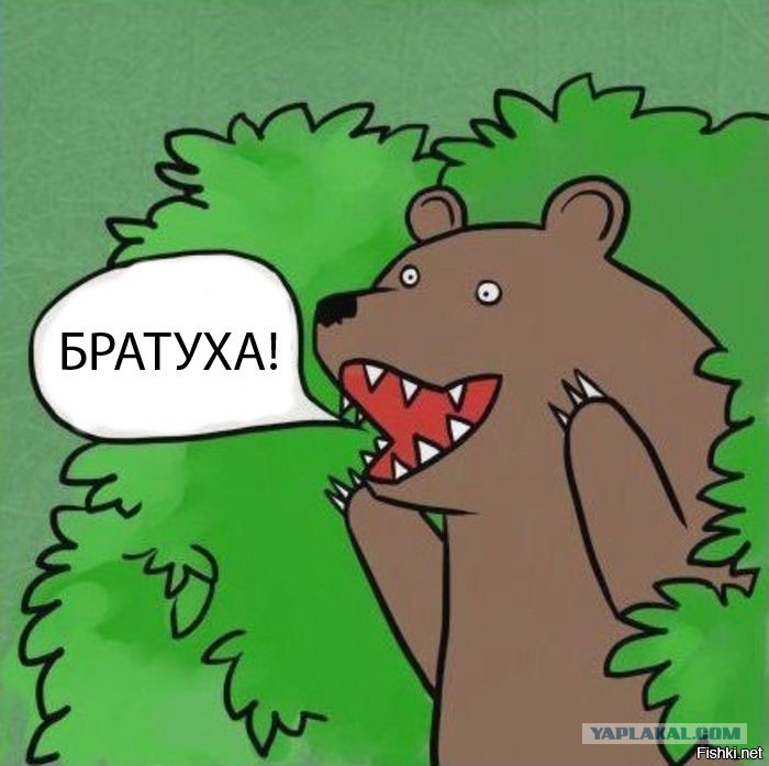 В Сибири нашли пещерного медведя