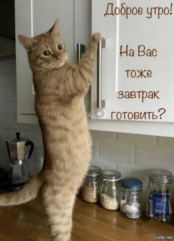 Солянка от 14.09.2020