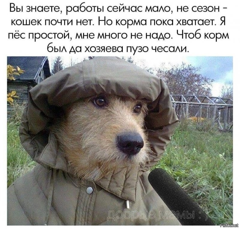 Солянка от 14.09.2020