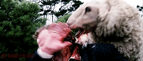 - Новенькая, новенькая пришла