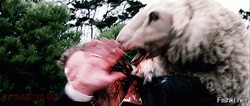 - Новенькая, новенькая пришла