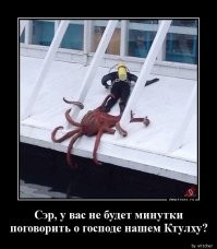 Гигантский кальмар: У страха глаза велики. Мифы и правда о монстрах из глубин