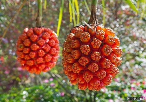 Что то напоминает