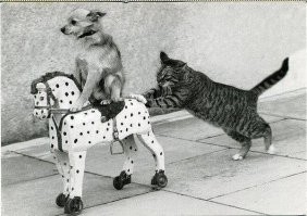 Диета Анны Семенович потерпела фиаско