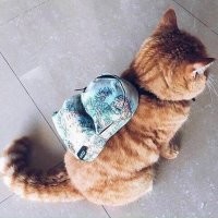 В поход собрался.