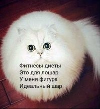 Скрины из социальных сетей