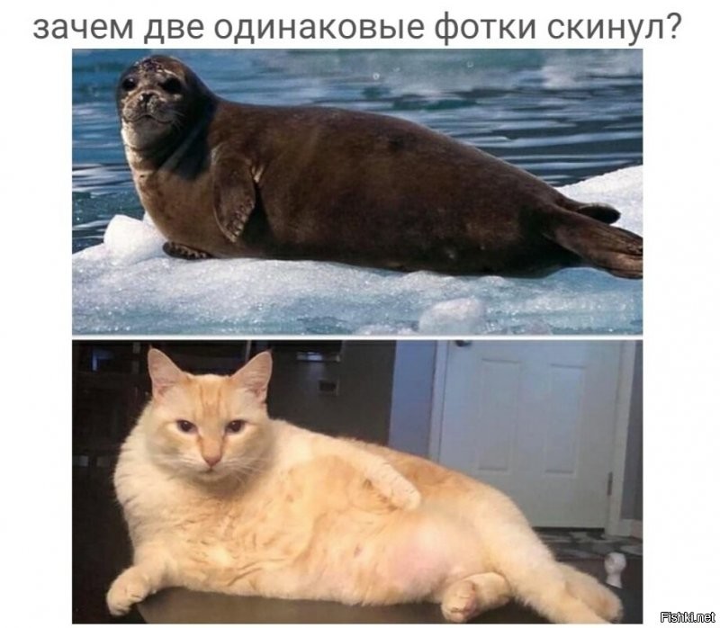 Солянка от 15.09.2020