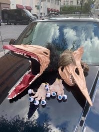 поизносились Мейтланды...