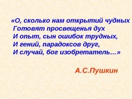 Прожорливая чайка проглотила сосиску целиком