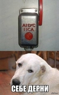 Не ищите здесь смысл. Здесь в основном маразм