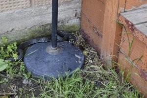 У меня по даче пешком ходят. Коломенский район