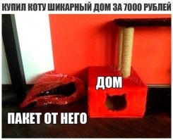Как сделать домик для кошки
