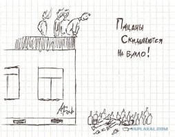 Скрины из социальных сетей