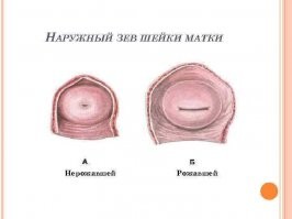 Скрины из социальных сетей