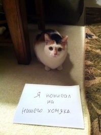 Грусть тоска.... но хозяева явно безграмотные.
