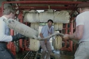 Что за глушитель? Думаю к Беретте не подойдёт.