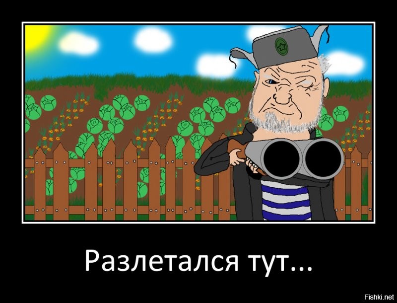 Под Москвой пенсионеру почти удалось завалить самолёт, который разлетался над его участком