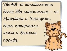Как воры извинялись перед Высоцким и еще пара забавных случаев из жизни артиста